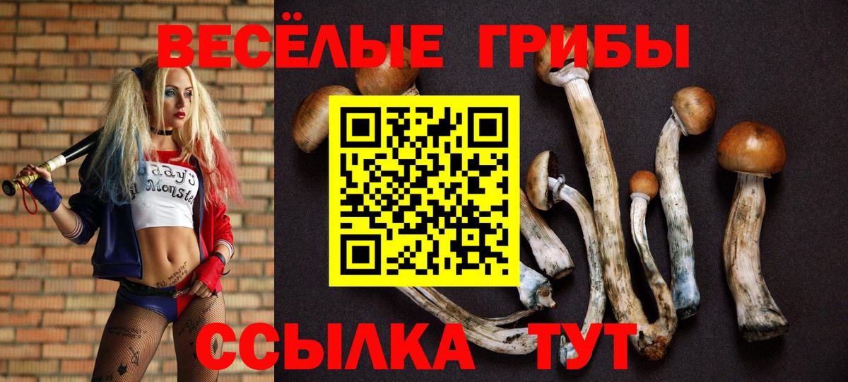 Удомля  Псилоцибиновые грибы мухоморы  Вход с VPN 